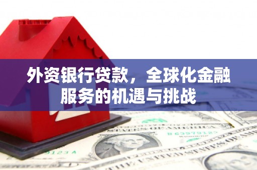 绥滨外资银行贷款，全球化金融服务的机遇与挑战