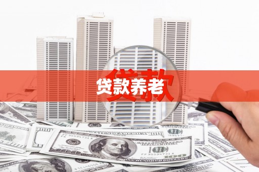 绥滨贷款养老