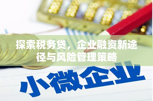 绥滨探索税务贷，企业融资新途径与风险管理策略