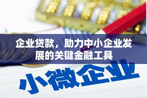 绥滨企业贷款，助力中小企业发展的关键金融工具