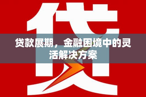 绥滨贷款展期，金融困境中的灵活解决方案