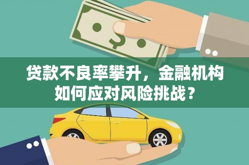 绥滨贷款不良率攀升，金融机构如何应对风险挑战？