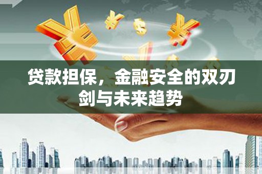 绥滨贷款担保，金融安全的双刃剑与未来趋势