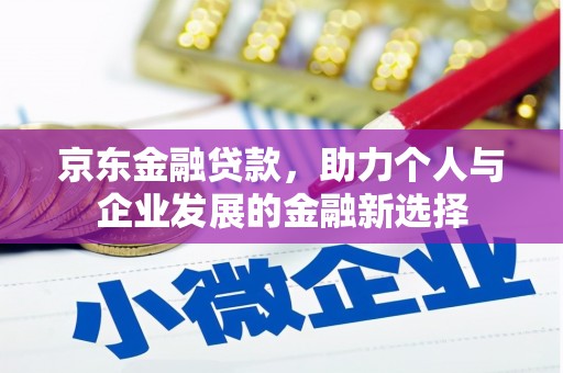 绥滨京东金融贷款，助力个人与企业发展的金融新选择