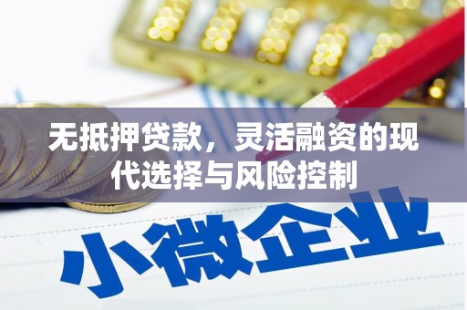 绥滨无抵押贷款，灵活融资的现代选择与风险控制
