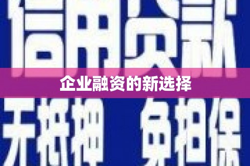 绥滨企业融资的新选择
