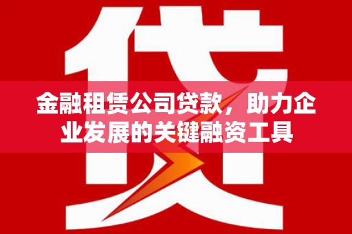 绥滨金融租赁公司贷款，助力企业发展的关键融资工具