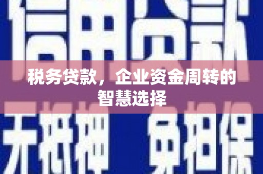 绥滨税务贷款，企业资金周转的智慧选择
