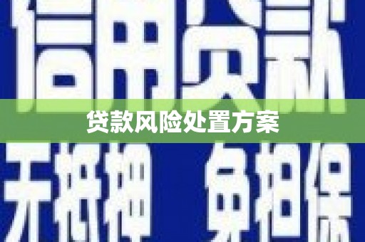 绥滨贷款风险处置方案