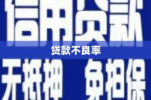 绥滨贷款不良率