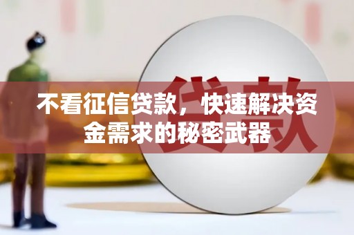 绥滨不看征信贷款，快速解决资金需求的秘密武器