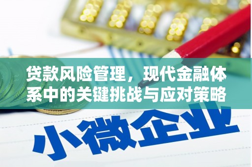 绥滨贷款风险管理，现代金融体系中的关键挑战与应对策略