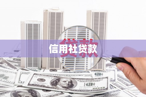 绥滨信用社贷款