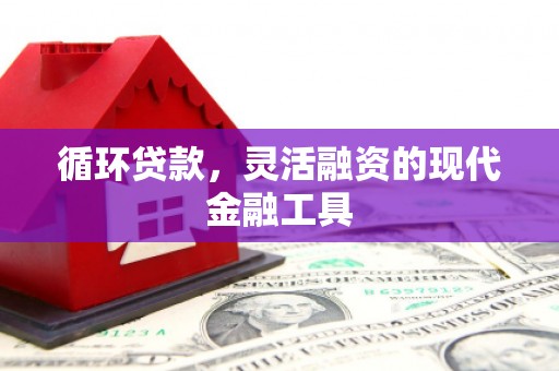 绥滨循环贷款，灵活融资的现代金融工具