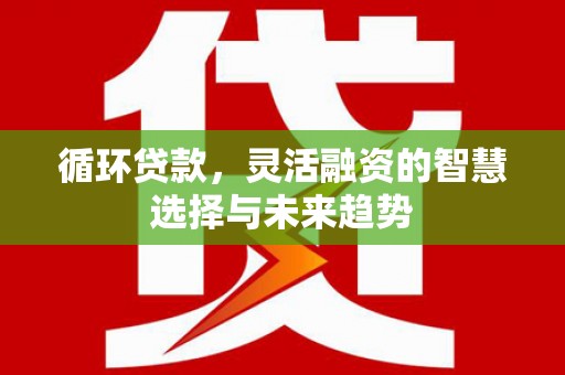 绥滨循环贷款，灵活融资的智慧选择与未来趋势