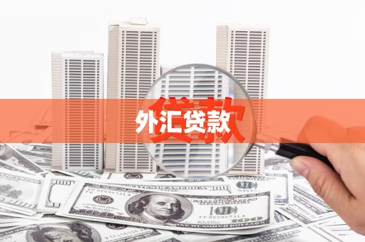 绥滨外汇贷款