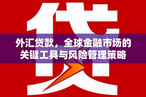 绥滨外汇贷款，全球金融市场的关键工具与风险管理策略