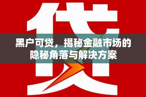 绥滨黑户可贷，揭秘金融市场的隐秘角落与解决方案