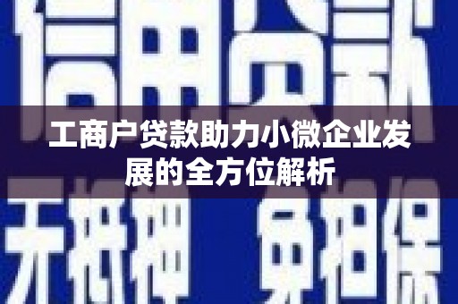 绥滨工商户贷款助力小微企业发展的全方位解析