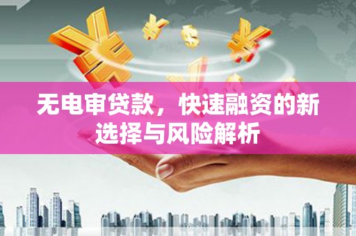 绥滨无电审贷款，快速融资的新选择与风险解析