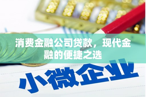 绥滨消费金融公司贷款，现代金融的便捷之选