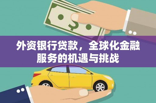 绥滨外资银行贷款，全球化金融服务的机遇与挑战