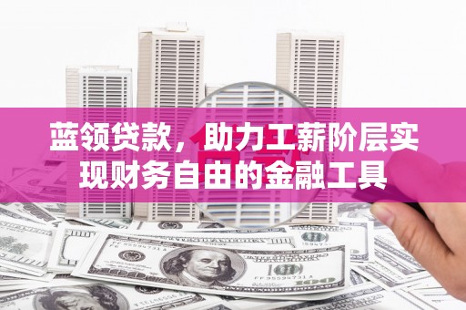 绥滨蓝领贷款，助力工薪阶层实现财务自由的金融工具