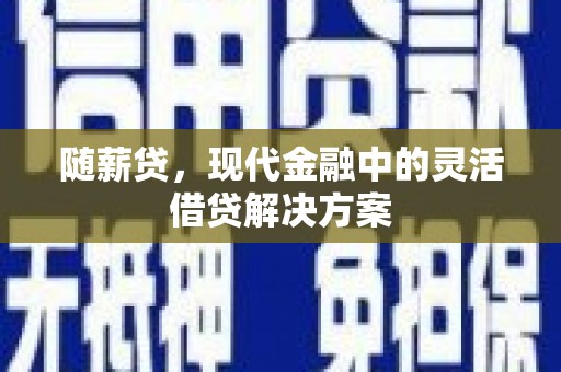 绥滨随薪贷，现代金融中的灵活借贷解决方案