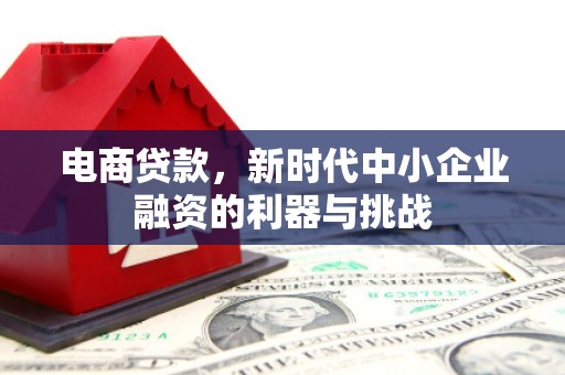 绥滨电商贷款，新时代中小企业融资的利器与挑战