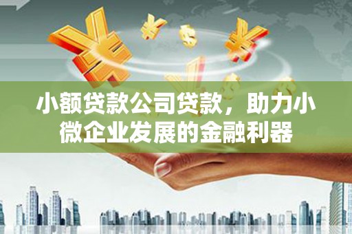 绥滨小额贷款公司贷款，助力小微企业发展的金融利器