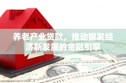 绥滨养老产业贷款，推动银发经济新发展的金融引擎