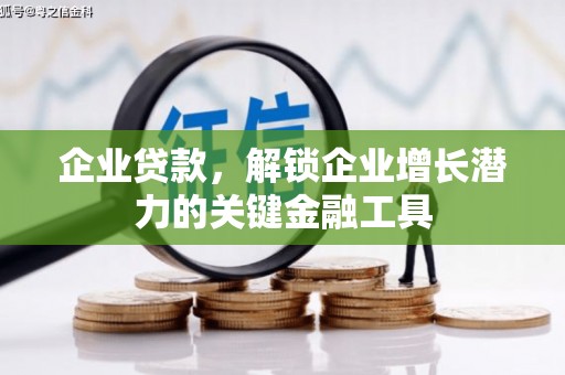 绥滨企业贷款，解锁企业增长潜力的关键金融工具