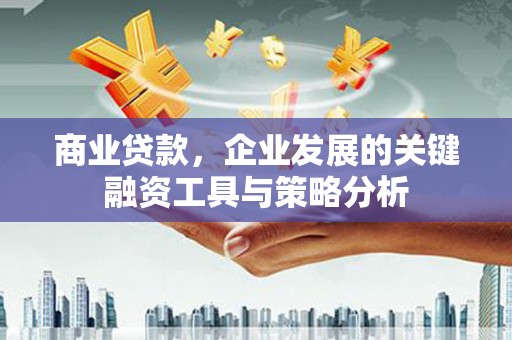 绥滨商业贷款，企业发展的关键融资工具与策略分析