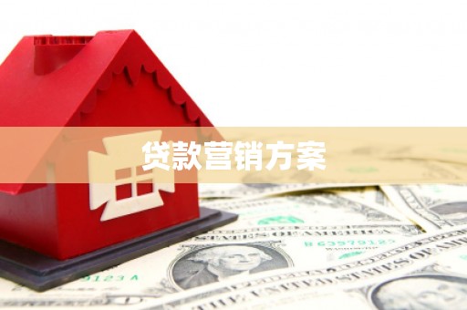 绥滨贷款营销方案