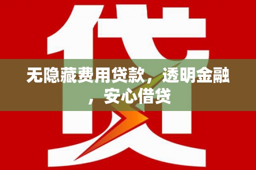 绥滨无隐藏费用贷款，透明金融，安心借贷