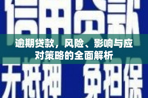绥滨逾期贷款，风险、影响与应对策略的全面解析