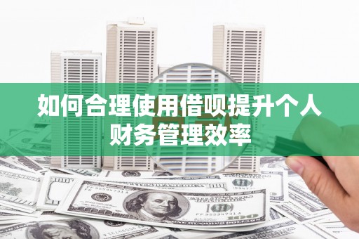 绥滨如何合理使用借呗提升个人财务管理效率