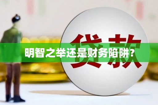 绥滨明智之举还是财务陷阱？