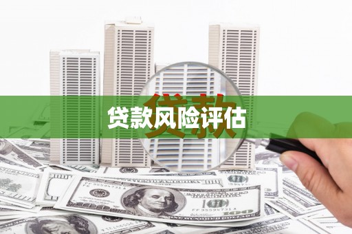 绥滨贷款风险评估