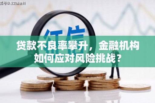 绥滨贷款不良率攀升，金融机构如何应对风险挑战？