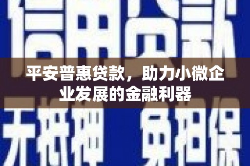 绥滨平安普惠贷款，助力小微企业发展的金融利器