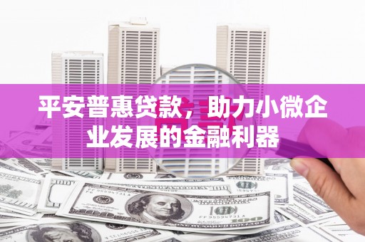 绥滨平安普惠贷款，助力小微企业发展的金融利器