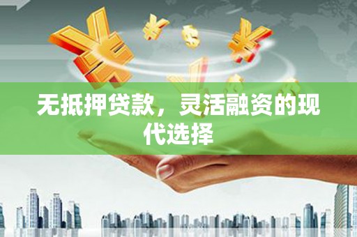 绥滨无抵押贷款，灵活融资的现代选择