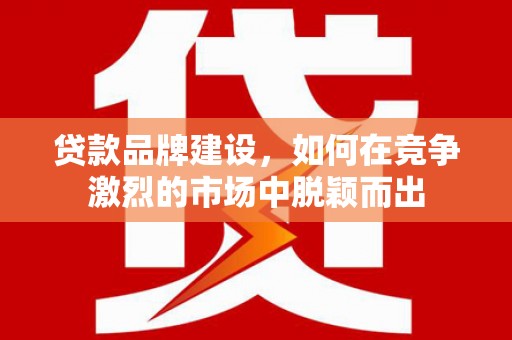 绥滨贷款品牌建设，如何在竞争激烈的市场中脱颖而出