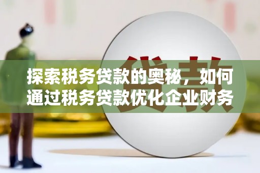 绥滨探索税务贷款的奥秘，如何通过税务贷款优化企业财务