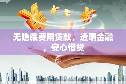 绥滨无隐藏费用贷款，透明金融，安心借贷