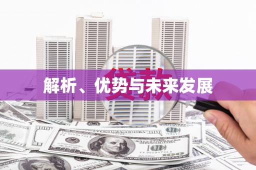 绥滨解析、优势与未来发展