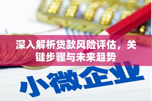 绥滨深入解析贷款风险评估，关键步骤与未来趋势