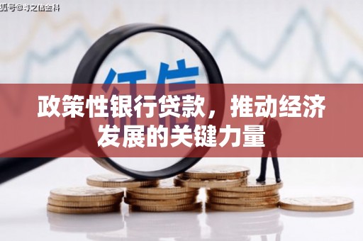 绥滨政策性银行贷款，推动经济发展的关键力量