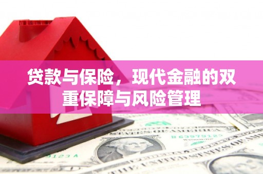 绥滨贷款与保险，现代金融的双重保障与风险管理